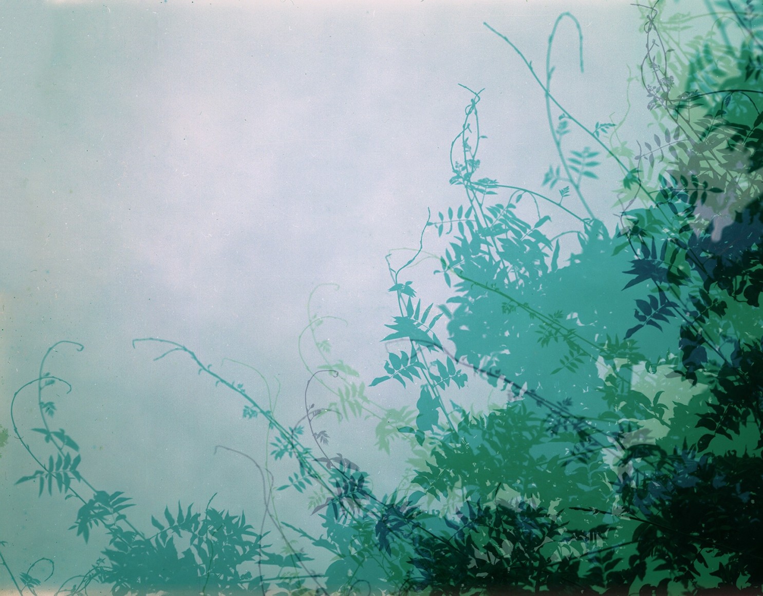 Bryan Graf, Hallucination 2 (Endless Summer), 2018. Archival pigment print, 40 x 50 inches.