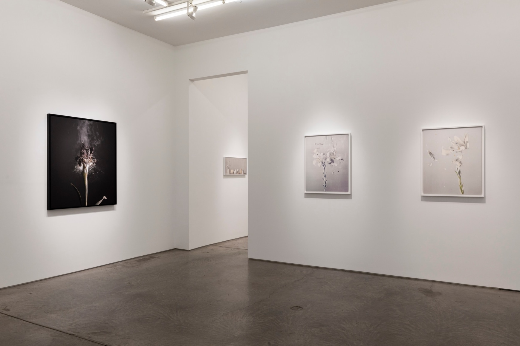 Installation image of&nbsp;Fragile Land​.