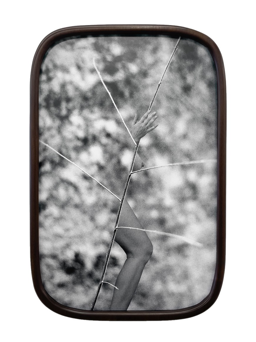Maria Antelman, Self as a Plant, 2025. Archival pigment print, 22 1/4 x 14 1/4 inches.