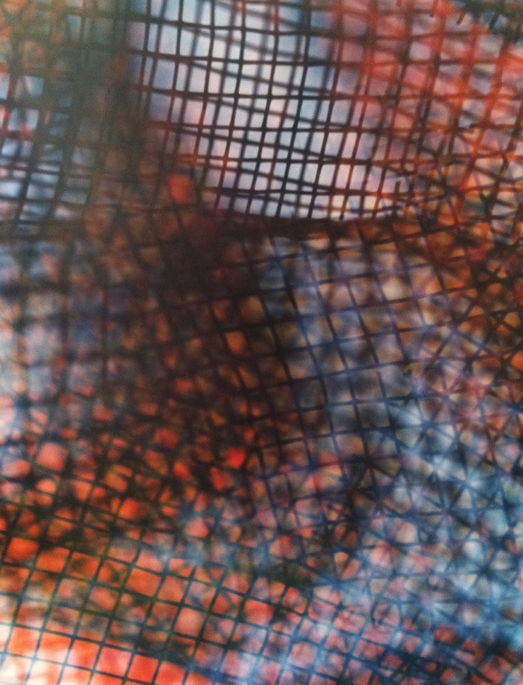 Bryan Graf,&nbsp;Lattice (random walk) #1, 2011. Chromogenic print, 40 x 30 inches.