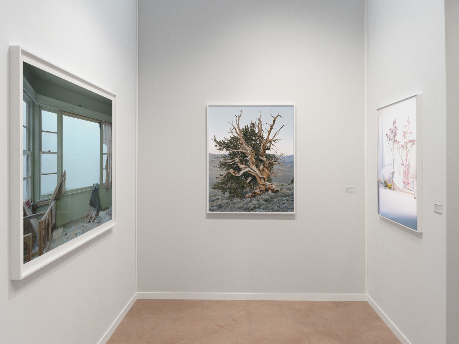 Installation view, Paris Photo, 2024.