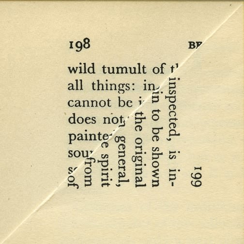 Erica Baum, Wild Tumult,  2009 