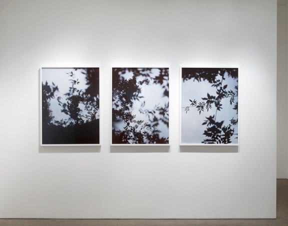 Installation View Yancey Richardson Gallery 