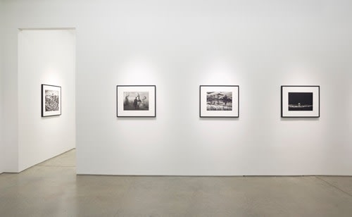 Installation view.