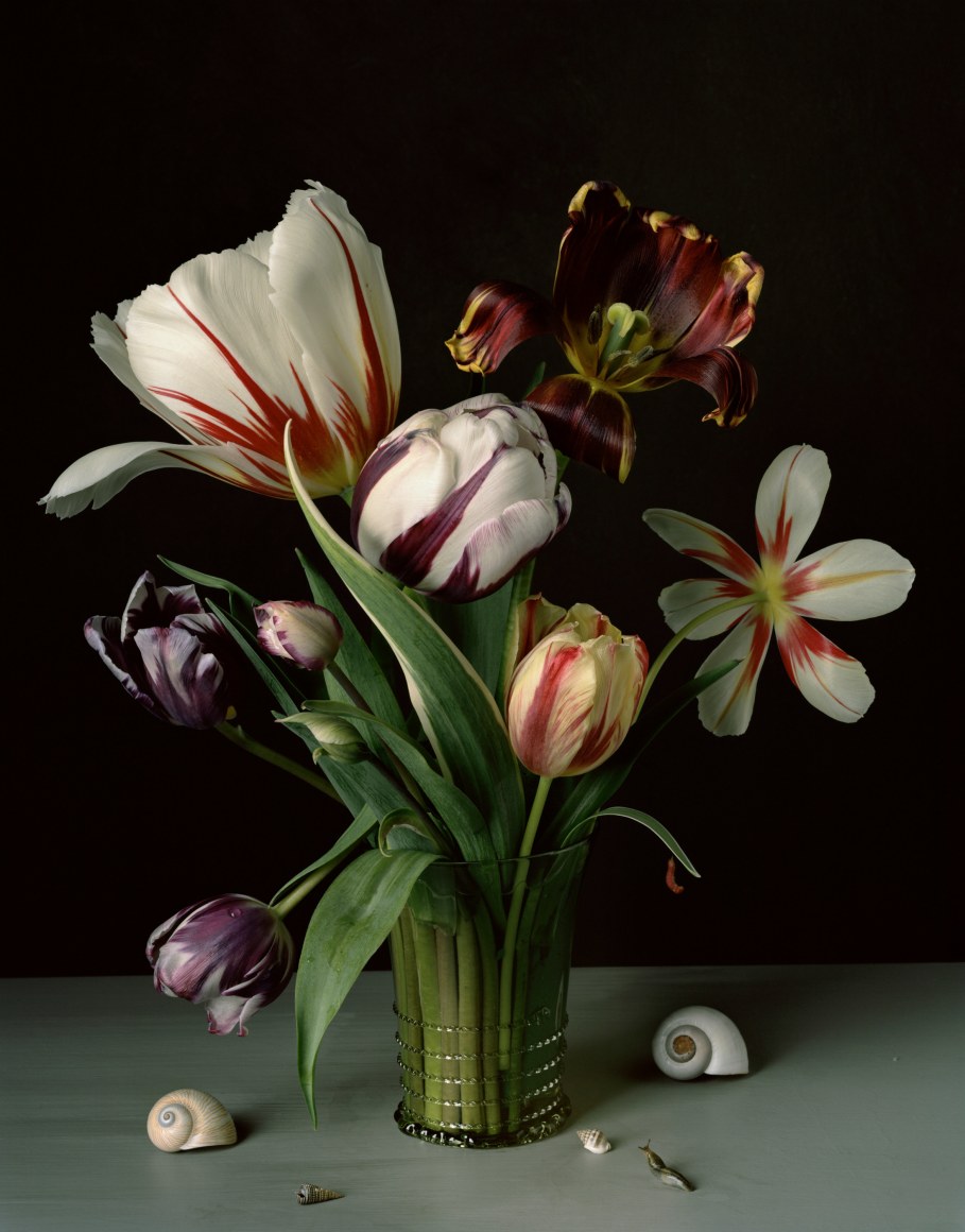 Photograph by Sharon Core titled 1614 from the series 1606-1907 of a floral still life arranged in the style of a classical painting