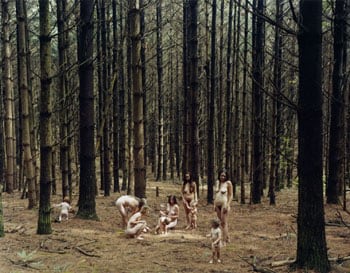 Justine Kurland, Pine Forest, 2005, 30 x 40 inch C-print, Signed, titled, dated and editioned on verso, Edition of 8