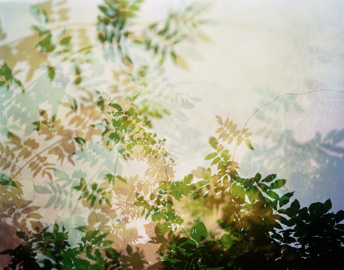 Bryan Graf,&nbsp;Hallucination 23 (Endless Summer), 2021. Archival pigment print, 40 x 50 inches.