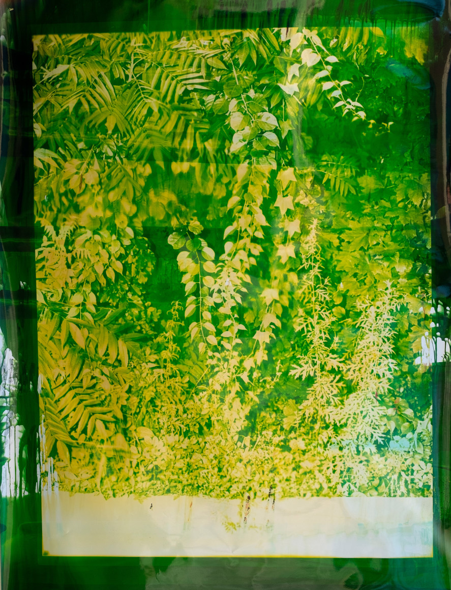 Telepathic Jungle 1, 2022. Unique chromogenic photogram, 70 7/8 x 48 1/8 inches.&nbsp;