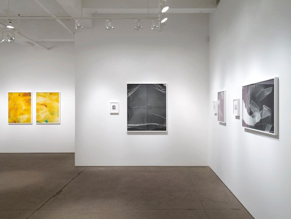 Installation View Yancey Richardson Gallery 