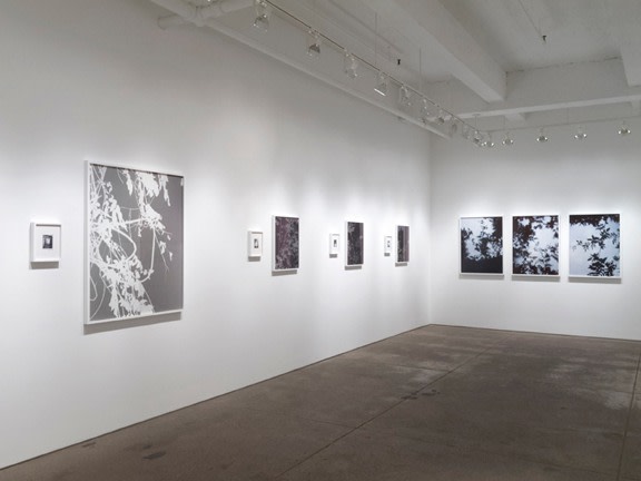 Installation View Yancey Richardson Gallery 