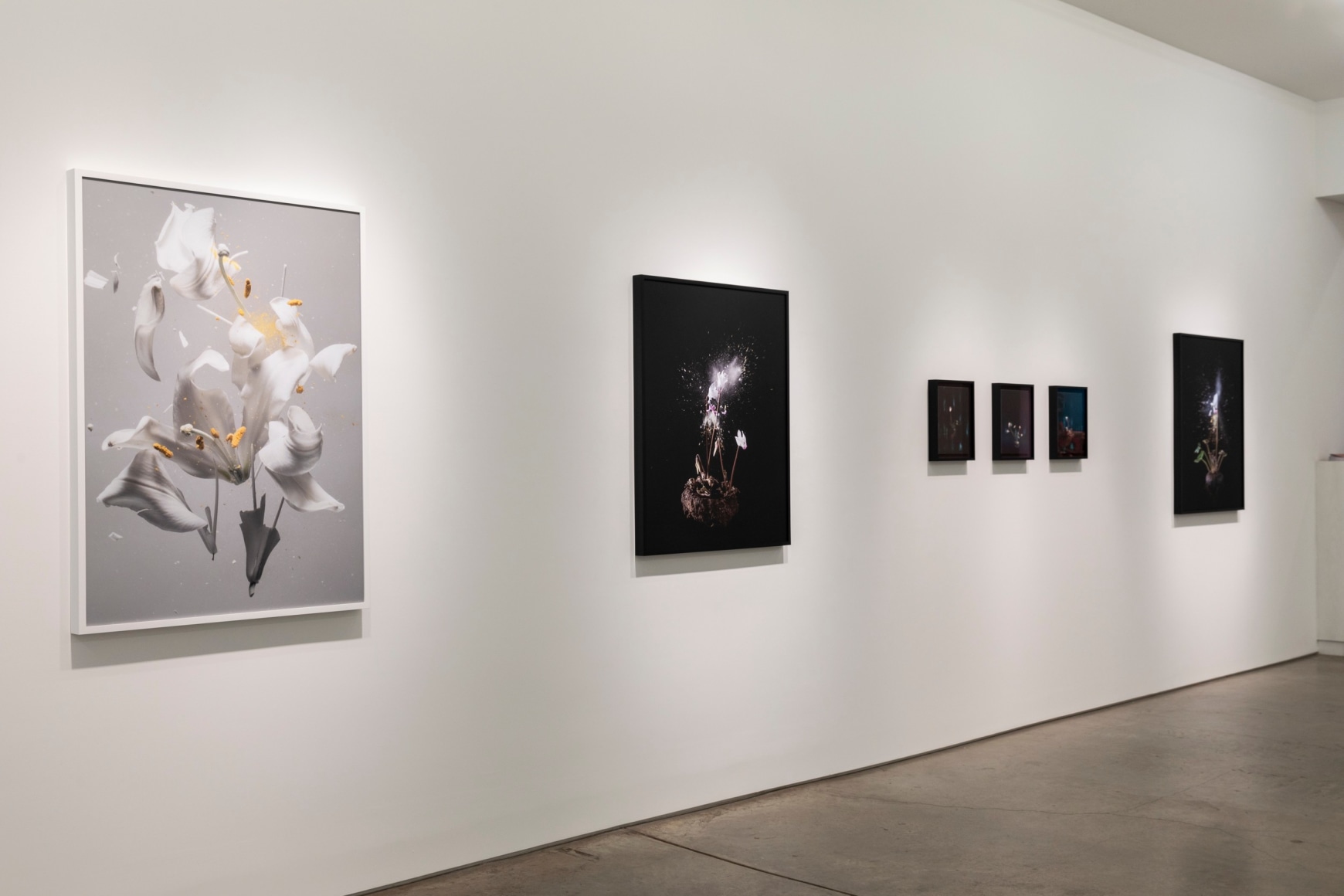 Installation image of&nbsp;Fragile Land​.