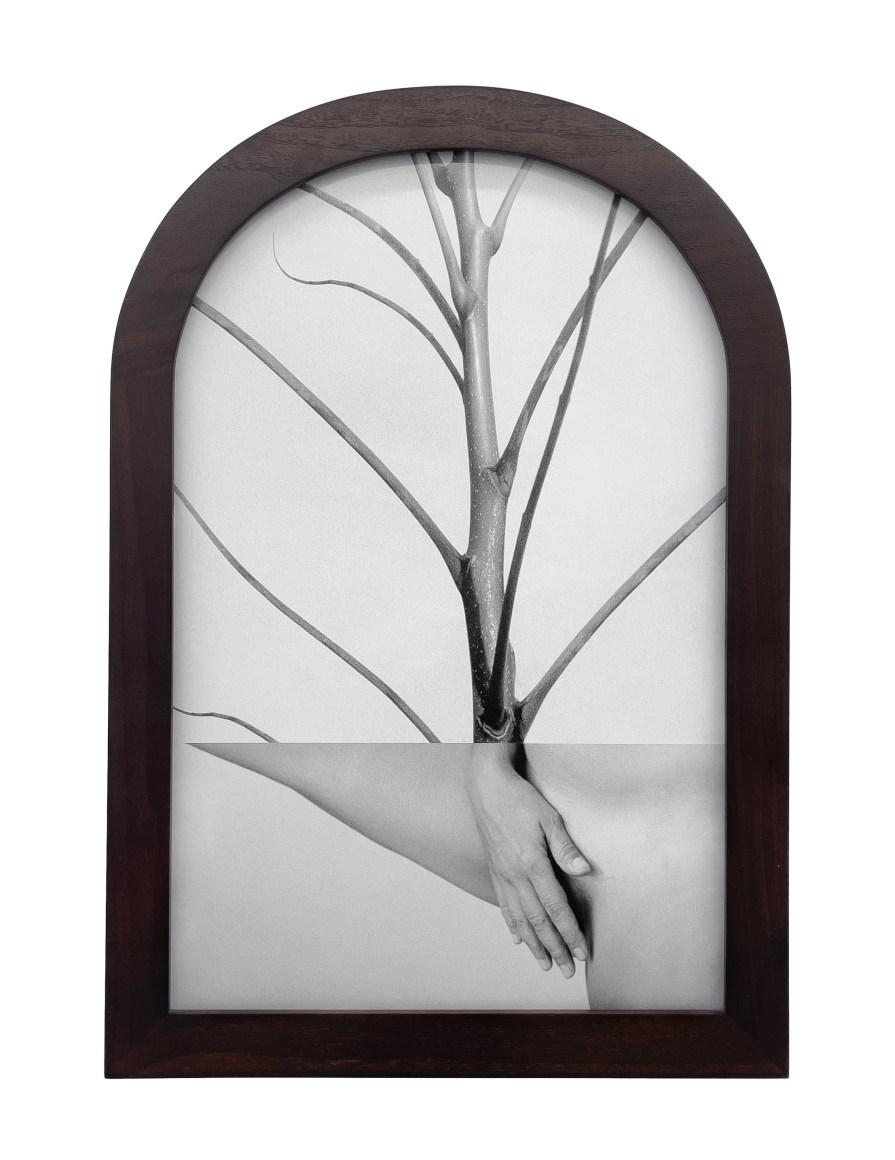 Maria Antelman, Germinator, 2024. Archival pigment print, 24 1/2 x 16 inches.