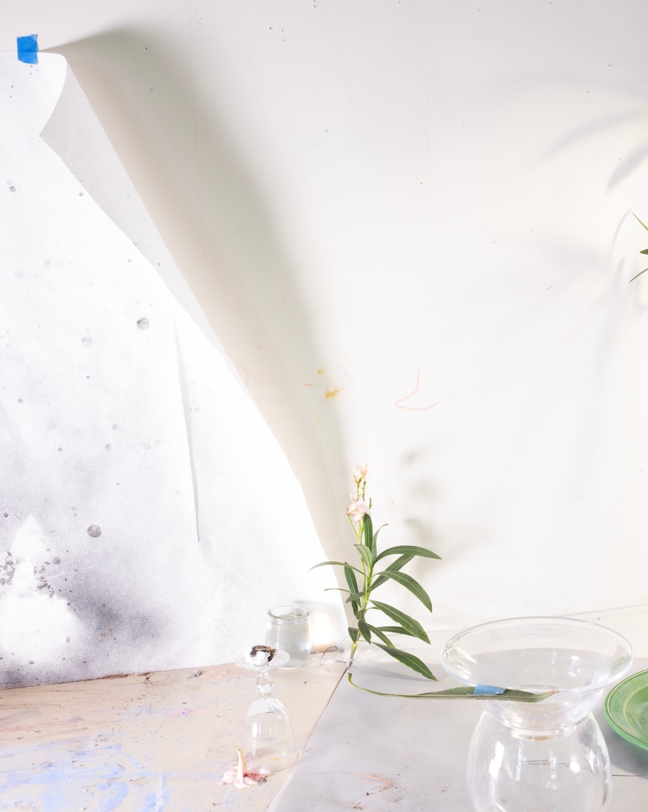 Laura Letinsky, blue, azalea9668, 2023, from the series Who Loves the Sun. Archival pigment print, 40 1/2 x 32 1/2 inches.