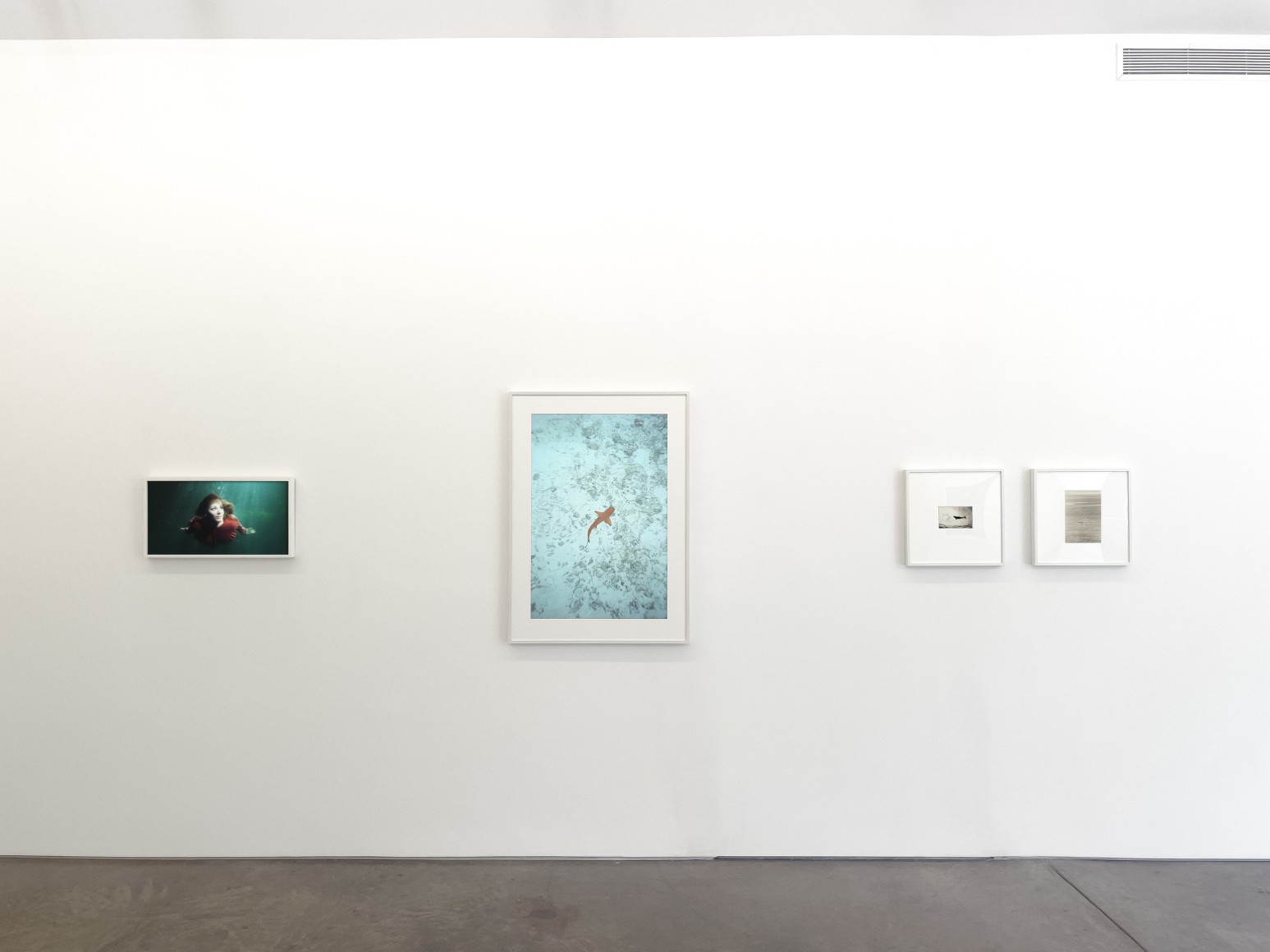 Installation view, Immersion, Yancey Richardson Gallery, 2024.