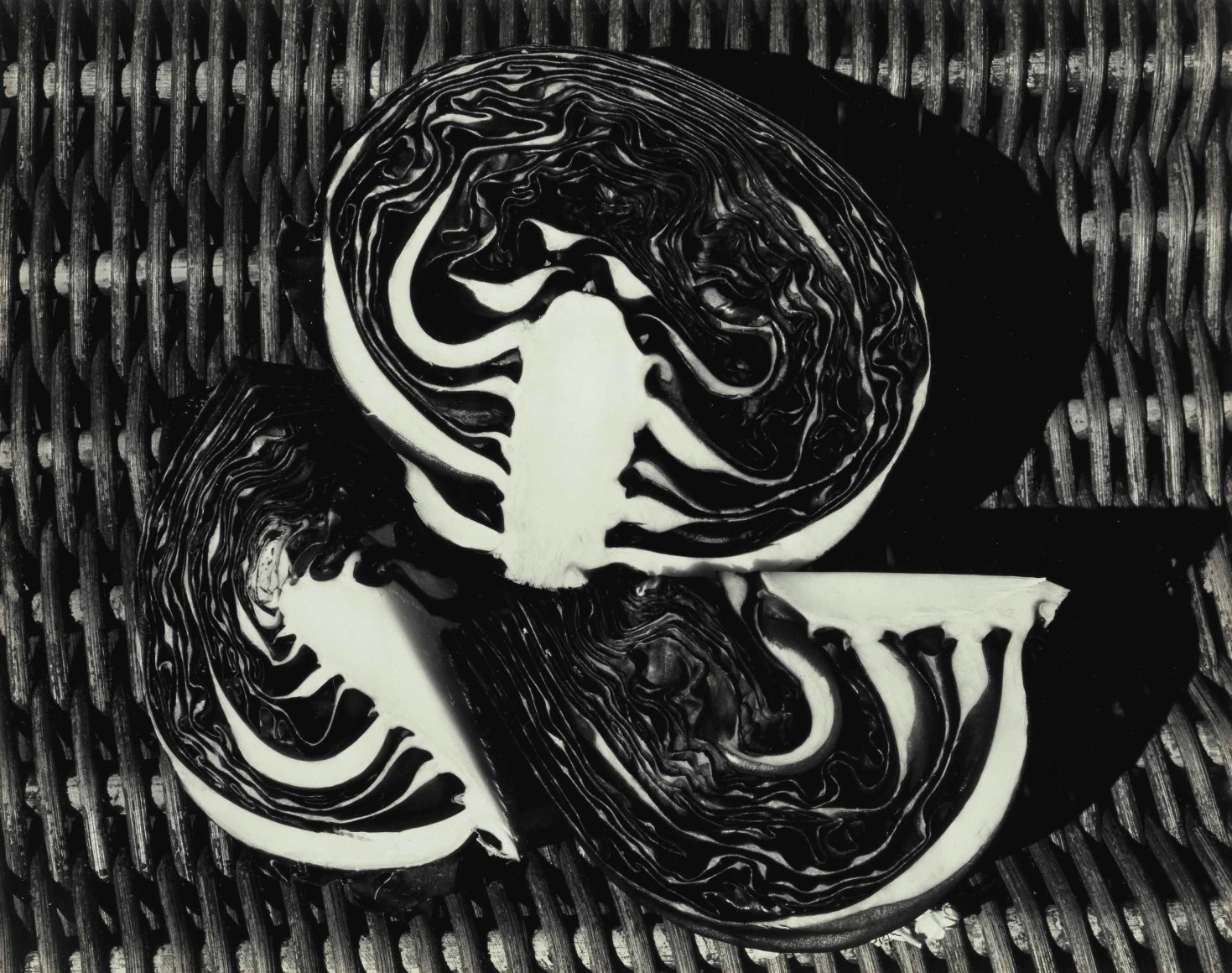 Edward Weston, Purple Cabbage, 1/2 and 2/4s, 1936. Gelatin silver print, image size: 7 5/8 x 9 5/8 inches, mount size: 14 7/8 x 15 3/8 inches. Signed, dated, and numbered&nbsp;5-40&nbsp;in pencil on the mount, recto; titled and numbered&nbsp;63V&nbsp;on the mount, verso.