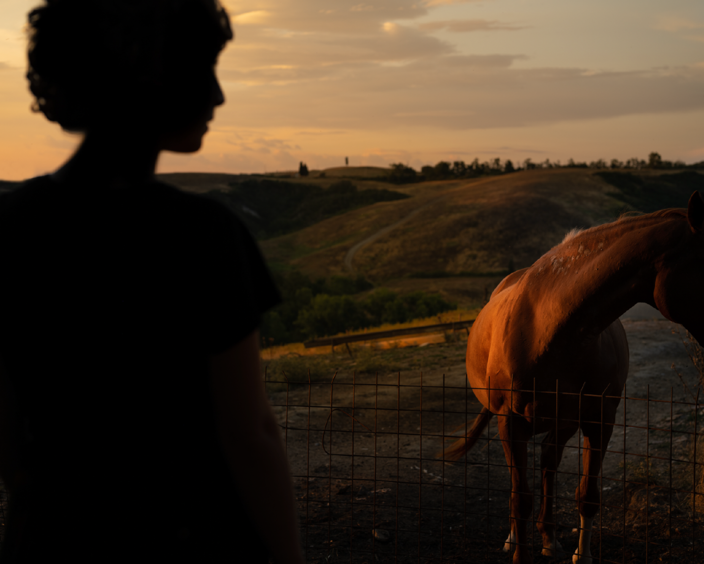 Tania Franco Klein, Meadow, 2021, from the series Proceed To The Route.&nbsp;Archival pigment print.
