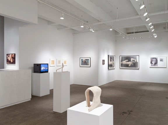 Desire Installation View 