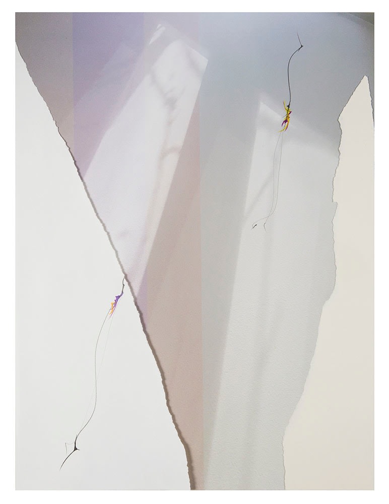 LC18_247, 2018. Archival pigment print, mixed media, and torn rag paper, 22 x 16 1/2 inches.