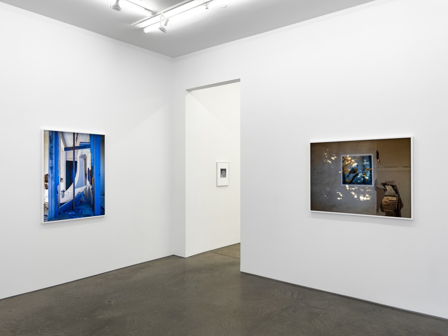 Installation view, John Divola,&nbsp;The Ghost in the Machine, Yancey Richardson, 2025.
