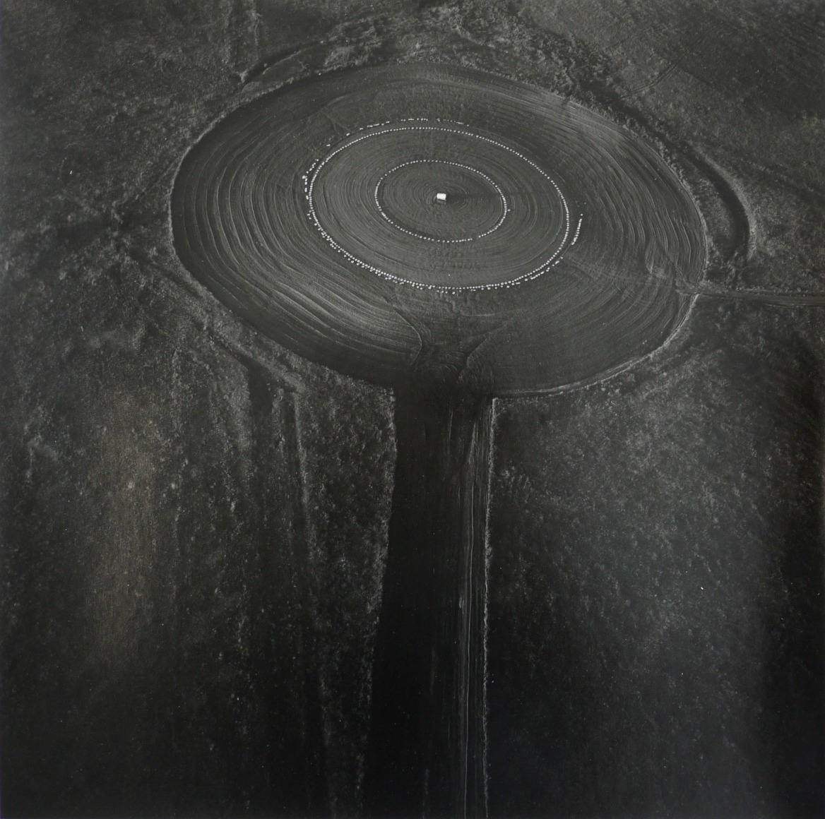 Terry Evans,&nbsp;Smoky Hill Weapons Range Target: Tires, September 30, 1990, 15 x 15 inch gelatin silver print&nbsp;