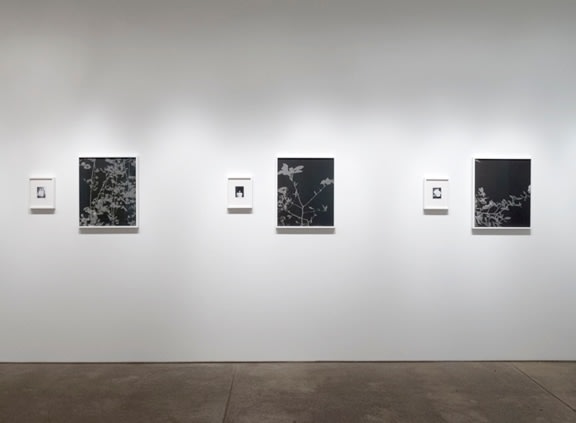 Installation View Yancey Richardson Gallery 