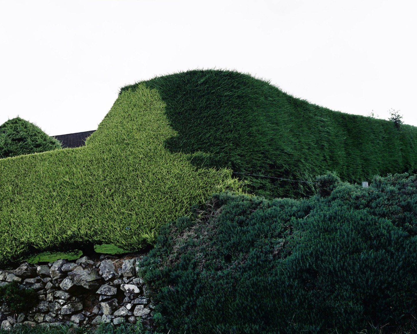 Felix Davey,&nbsp;An Te&oacute;rainn,&nbsp;2016. Archival pigment print, 40 x 50 inches.&nbsp;