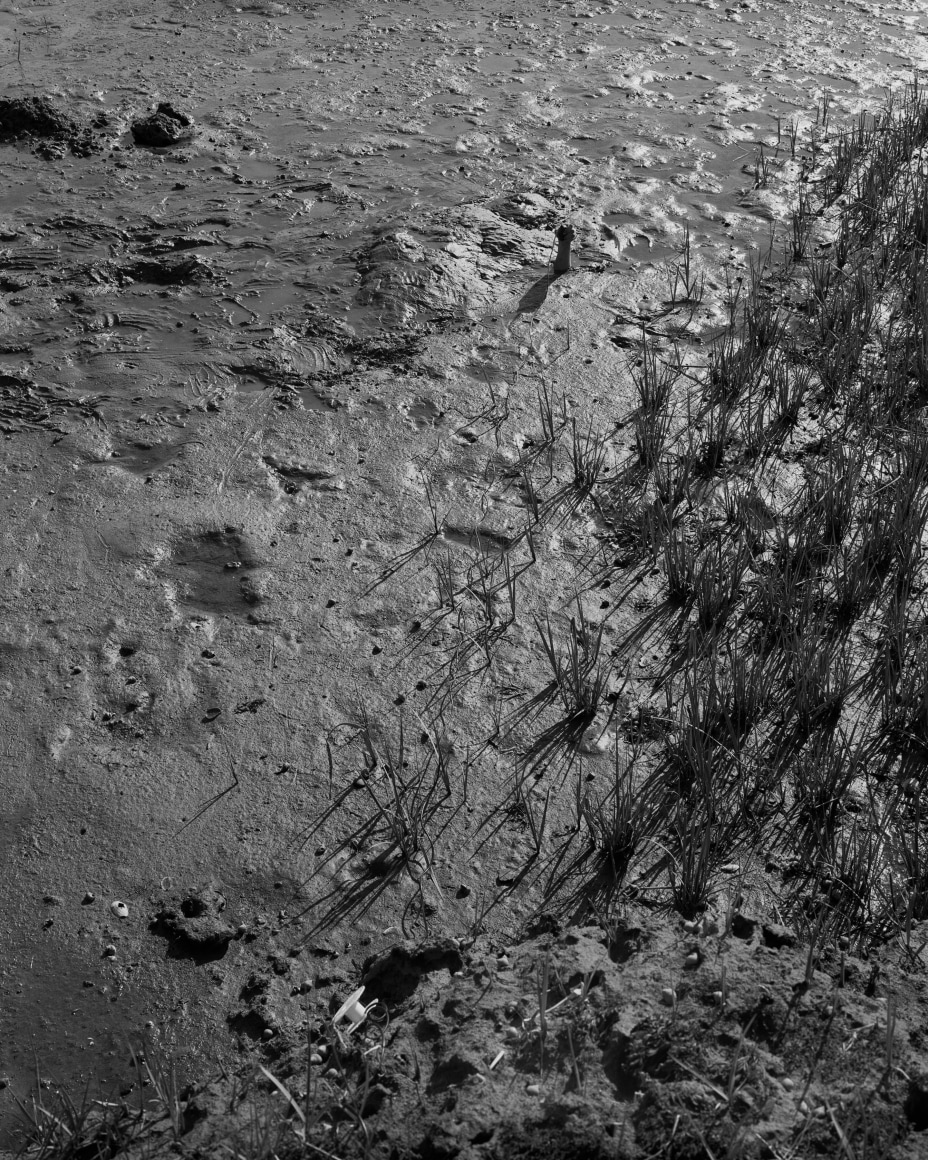 Jenny Calivas, Self-Portrait While Buried #12, 2021. Gelatin silver print, 50 x 40 inches.