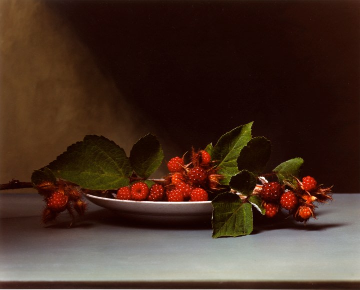 Sharon Core, Early American, Wild Raspberries, 2007. Chromogenic print, 14 1/2 x 18 inches.