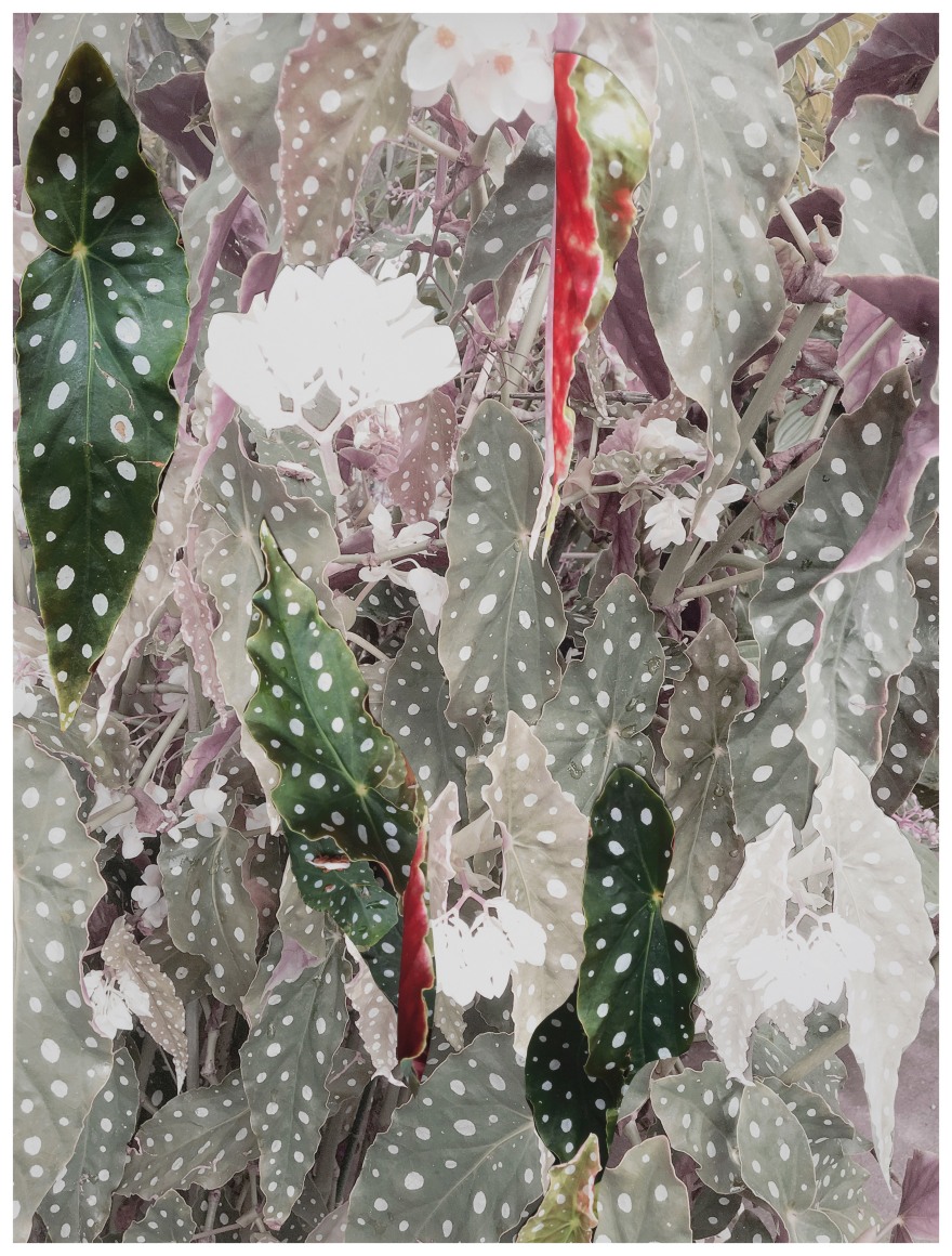 Sandi Haber Fifield,&nbsp;BE20_392, 2020. Unique collaged archival pigment print,&nbsp;36 1/2 x 28 3/4 inches.