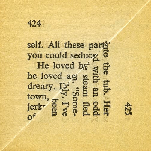 Erica Baum, Steam,  2013 