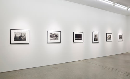 Installation view.