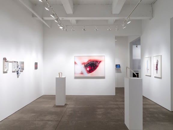 Desire Installation View 