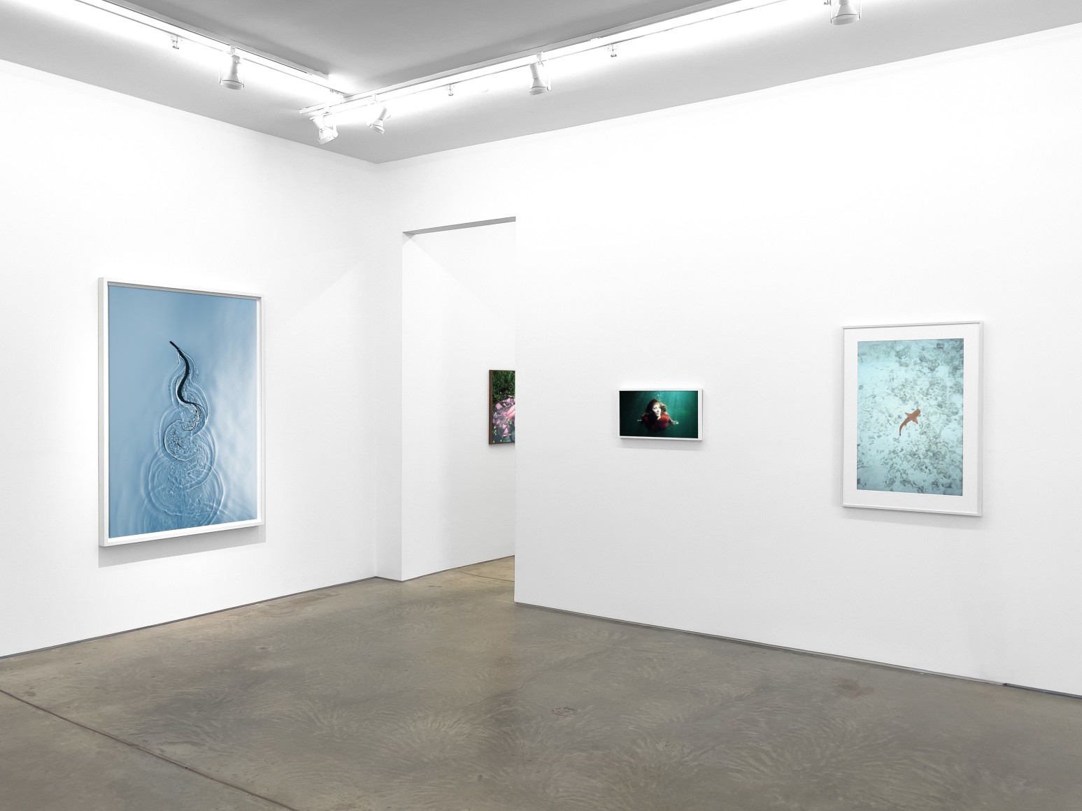 Installation view, Immersion, Yancey Richardson Gallery, 2024.