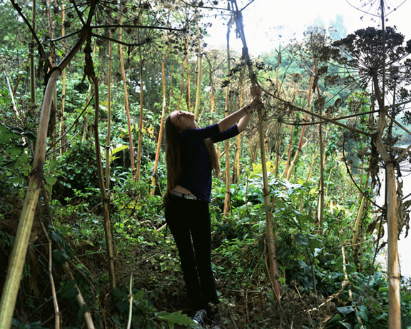 Hide and Seek, 2010, 20 x 26 or 48 x 60 inch Cibachrome print