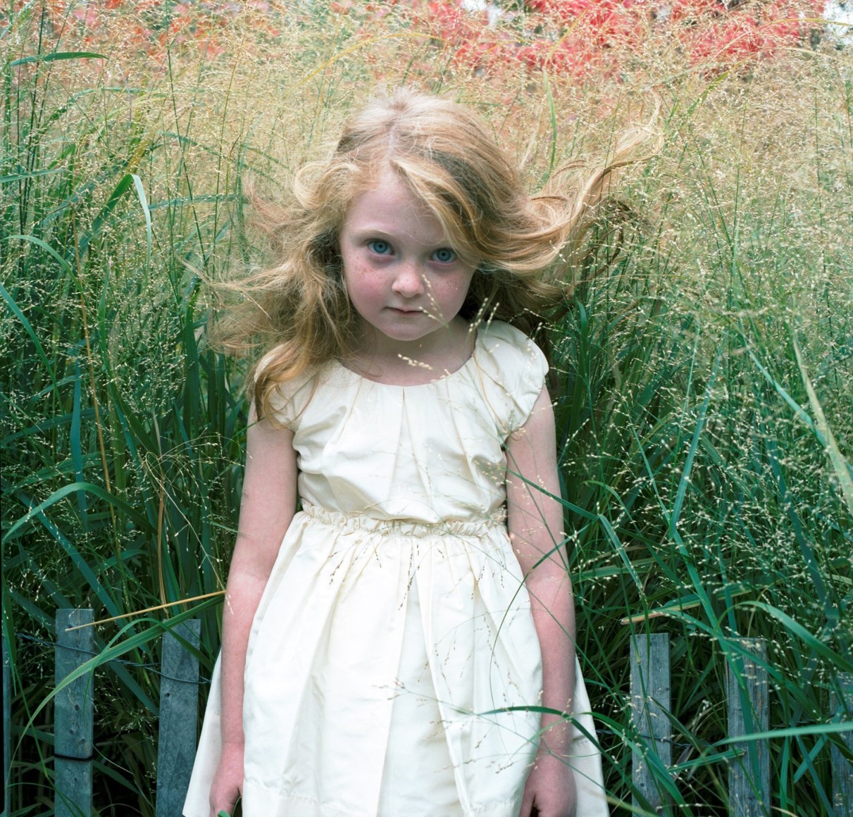 Untitled&nbsp;0431,&nbsp;2014,&nbsp;Chromogenic print, 16 x 16 inches, edition of 10