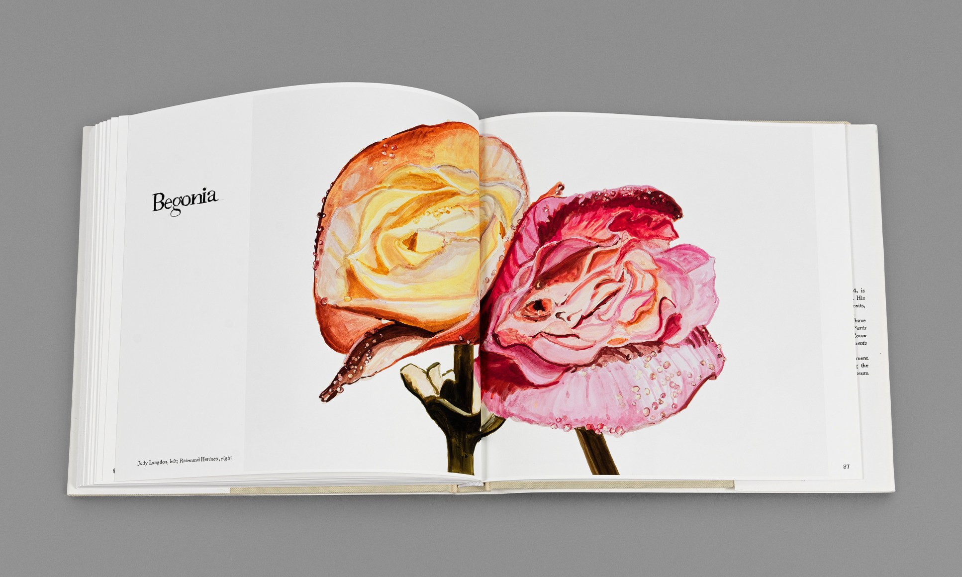 Sharon Core,&nbsp;Facsimile: Irving Penn, Flowers, 2024. Book comprising 25 double-sided archival pigment prints,&nbsp;bound and presented&nbsp;in&nbsp;a custom acrylic&nbsp;slipcase, 10 1/4 x 10 1/2 x 1 inches.