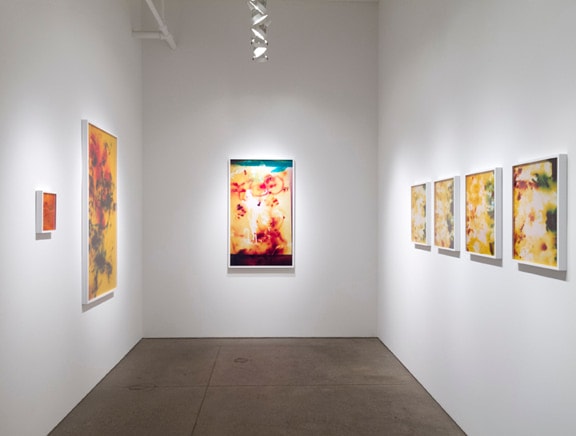 Installation View Yancey Richardson Gallery 