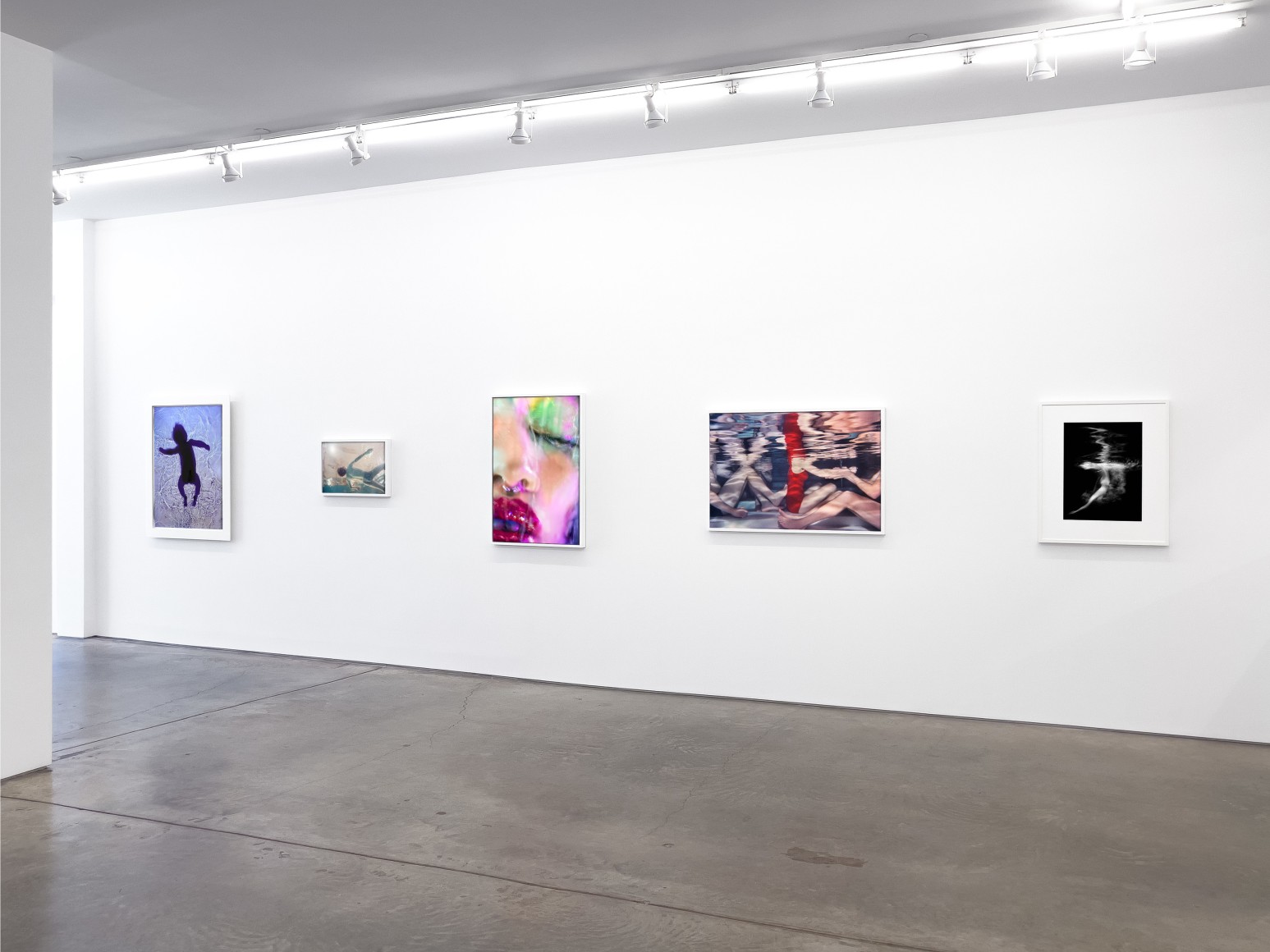 Installation view, Immersion, Yancey Richardson Gallery, 2024.