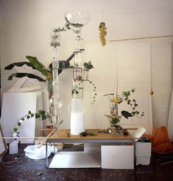 Gonzalo Puch, Grapes and Crystal Still Life, 2003, 51 x 49 inch Chromogenic print, Signed, titled, dated and editioned on verso, Edition of 5