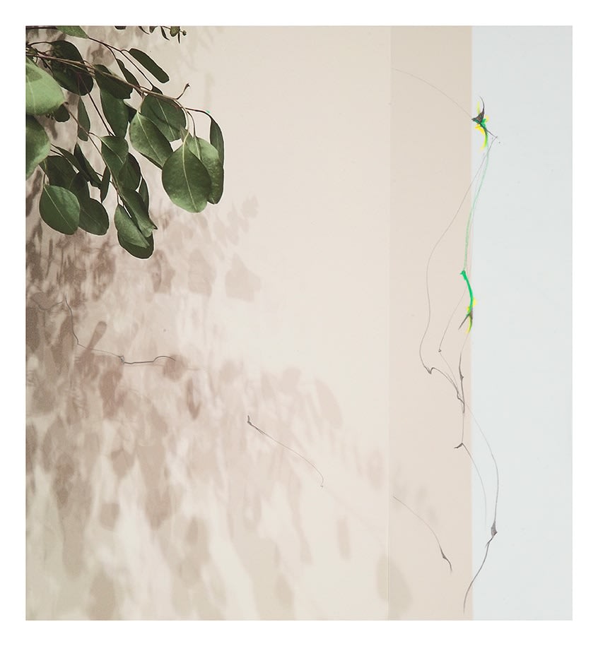 LF17_163, 2017. Archival pigment print with vellum and mixed media. 16 x 15 inches.&nbsp;