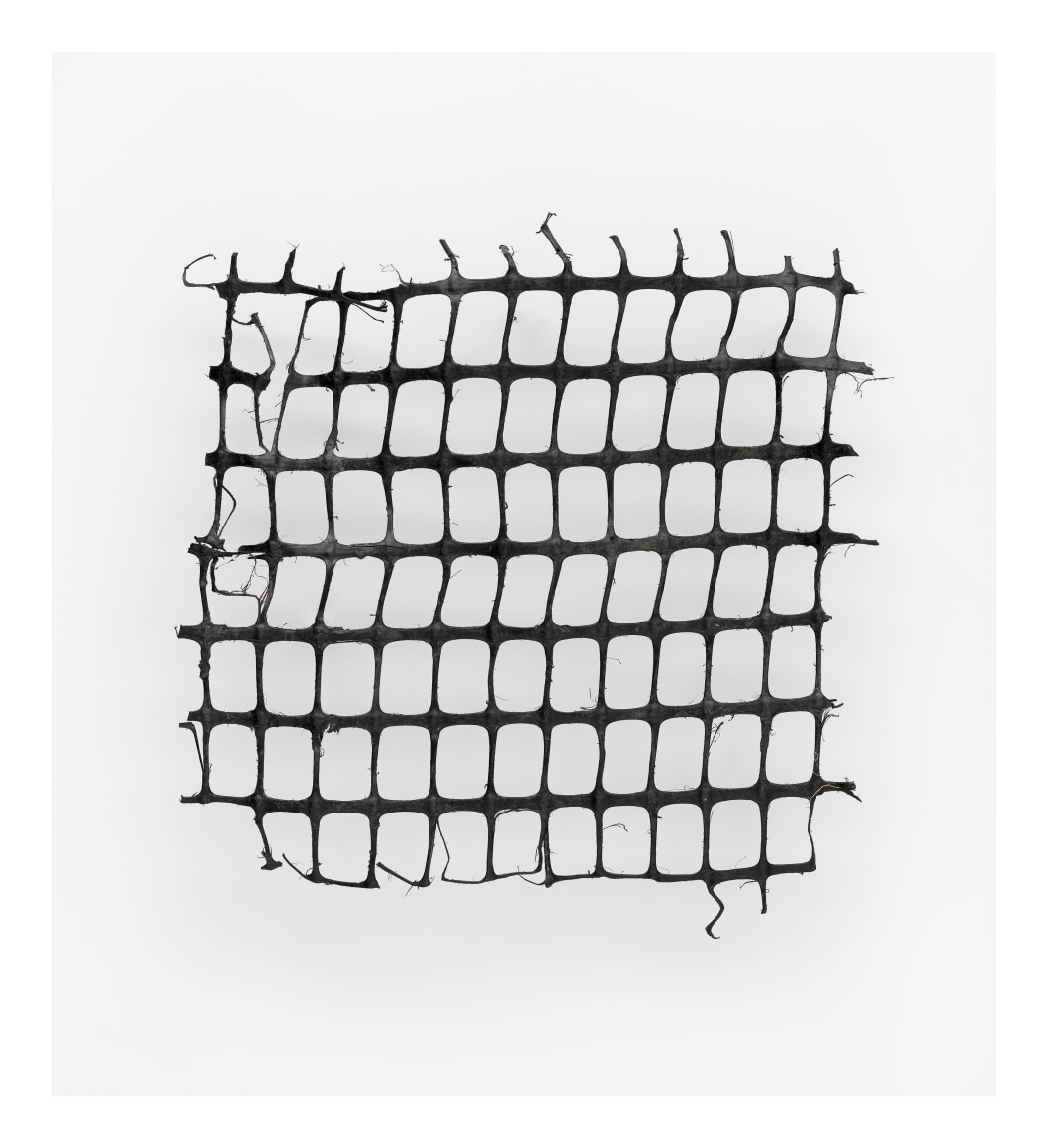 Fencing,&nbsp;Wales,&nbsp;2016. Archival pigment print, 25 5/8 x&nbsp;21 5/8 inches