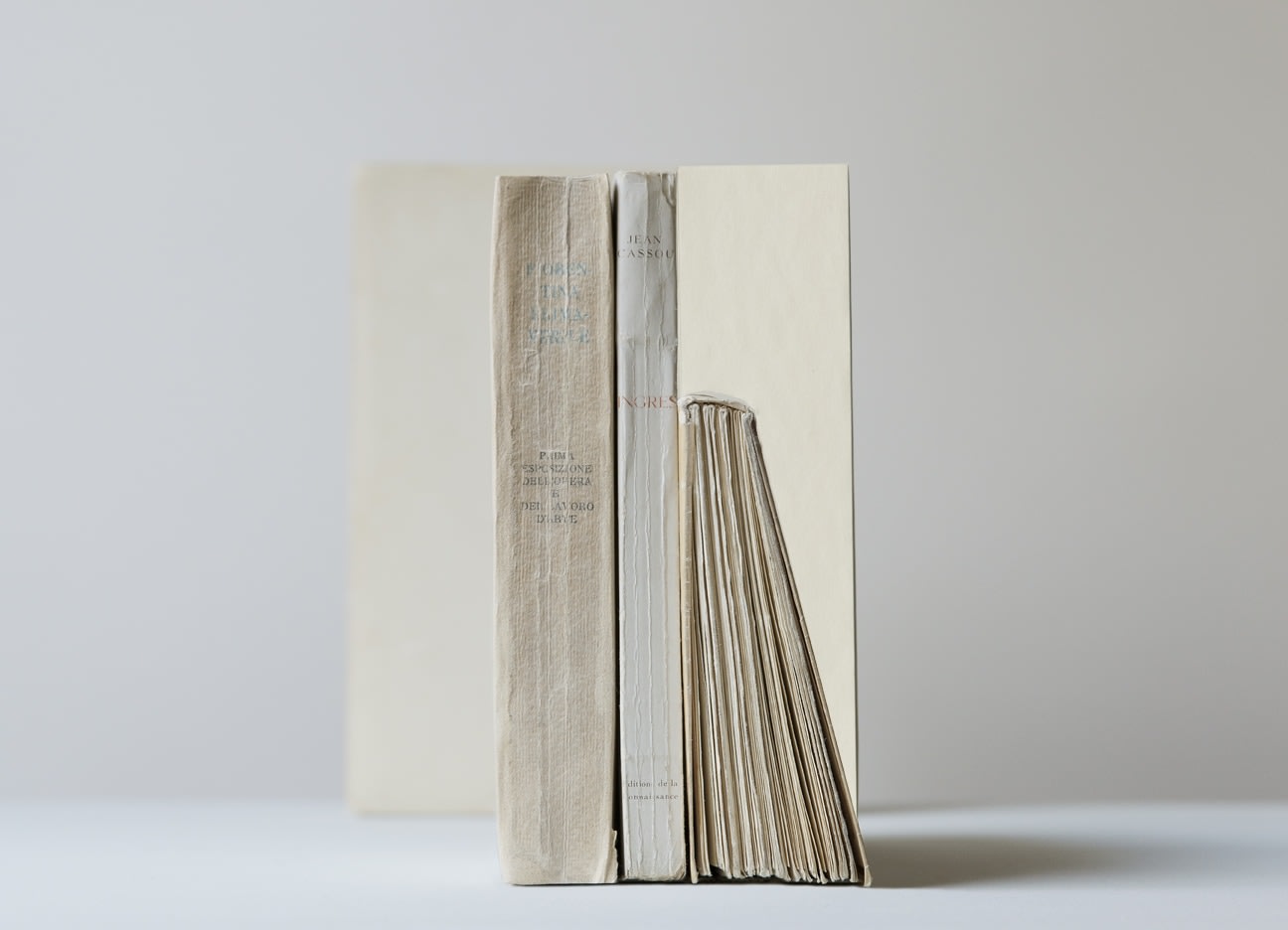 Mary Ellen Bartley,&nbsp;Ingres Collage (from the series Morandi&rsquo;s Books), 2022. Archival Pigment Print, 17 x 22 inches.