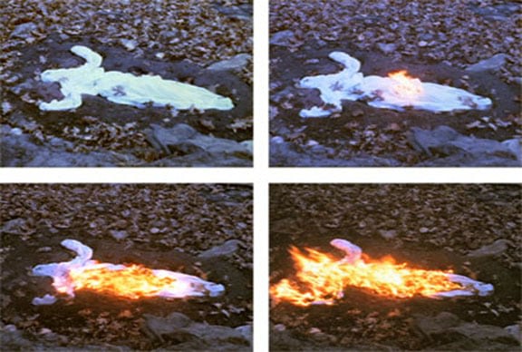 Ana Mendieta, Alma Silueta En Fuego (Silueta de Cenizas),  1975 