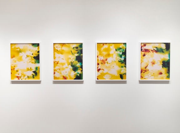 Installation View Yancey Richardson Gallery 