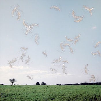 Angelo Filomeno, Spring Shower, 2005, 30 x 30 inch Pigment print on fabric and silver embroidered thread, Signed, titled and dated on verso, Edition of 10