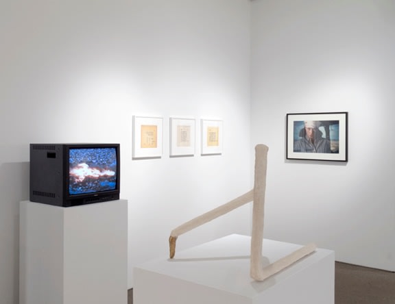 Desire Installation View 