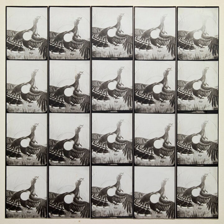 Untitled, PB #1085,&nbsp;1975. Vintage gelatin silver photobooth prints, 7 7/8 x 7 7/8&nbsp;inches.