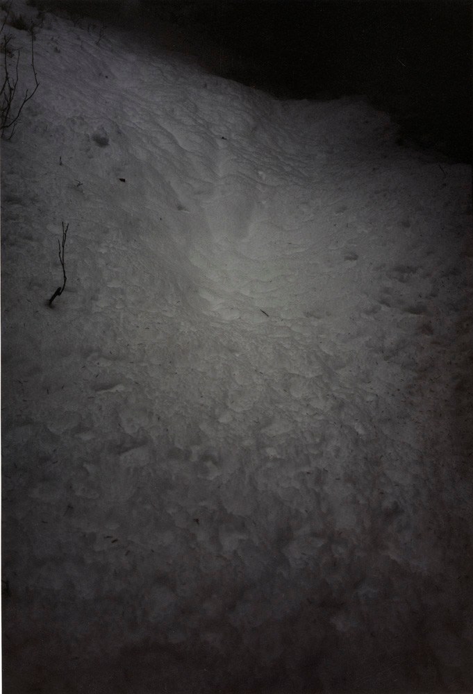 Forest #42, Untitled (White Hole - Black Snow), 2005, 20 x 14 inch chromogenic print