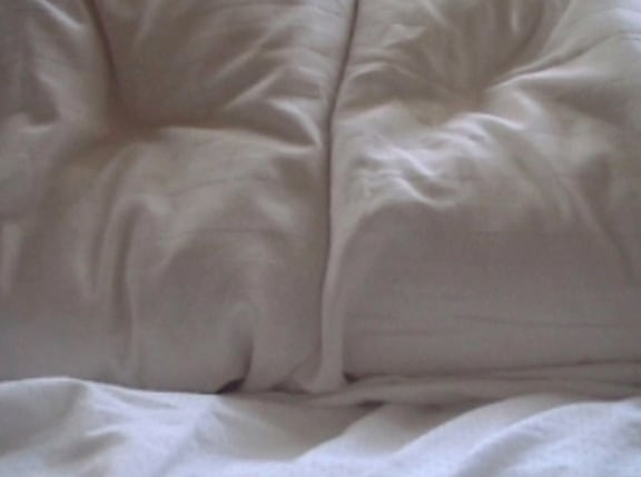 Constance DeJong, Pillow Talk 2