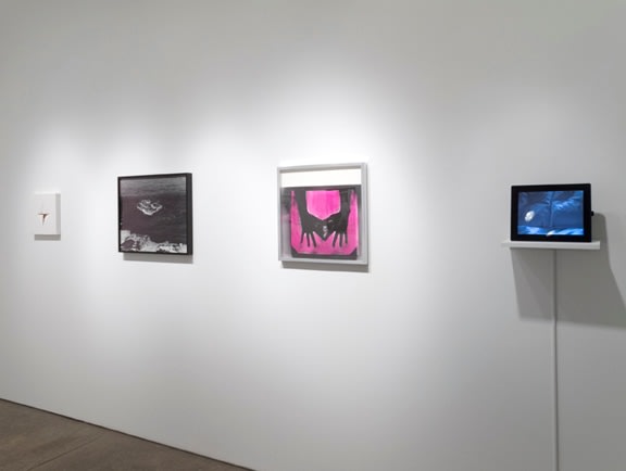 Desire Installation View 